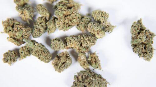 Baked and Blazing: Simple Flower Recipes for the Everyday Cannabis Lover