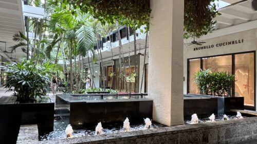 High Society, Low Tolerance: Challenging Cannabis Stigma in Bal Harbor